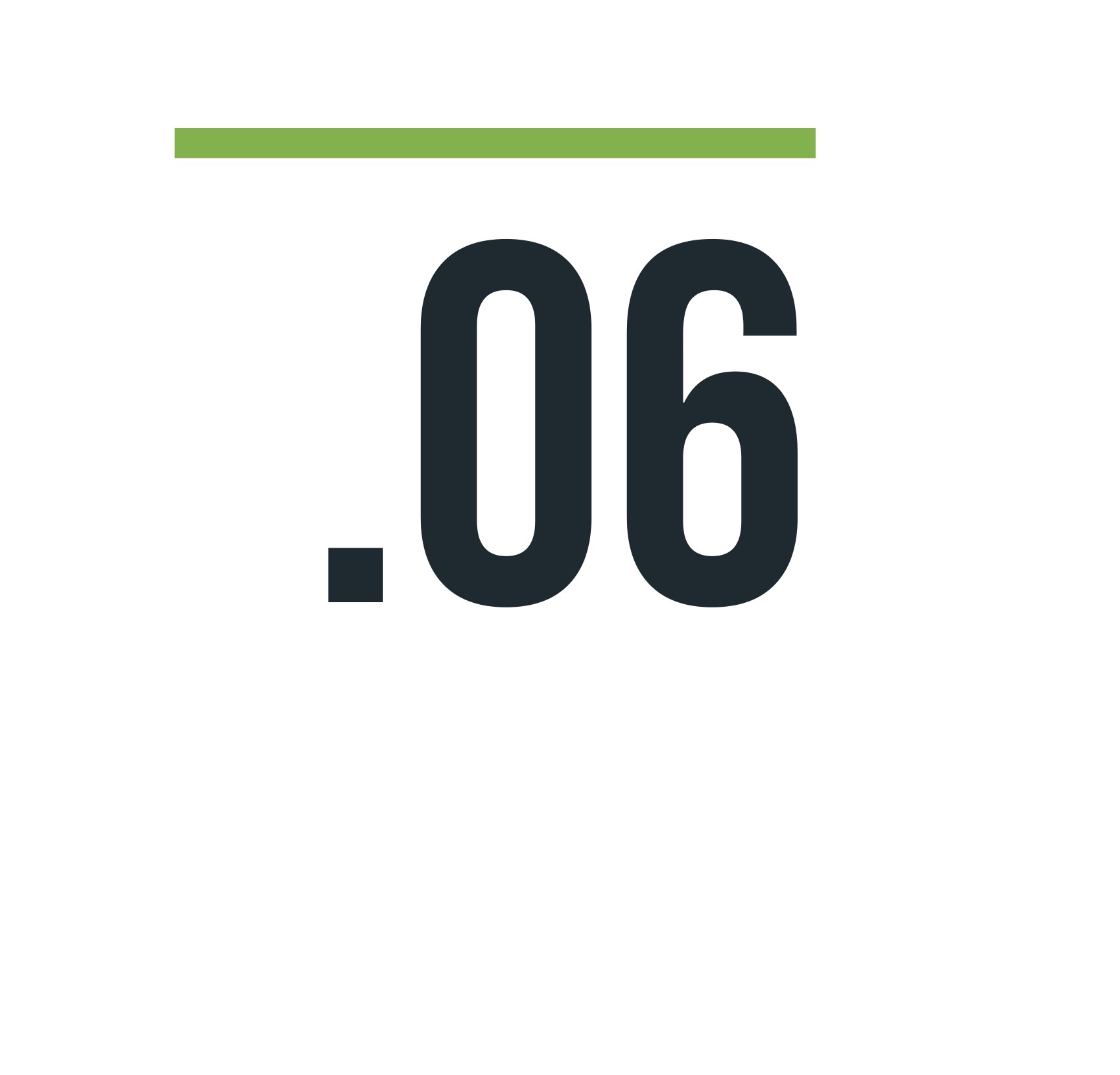 06